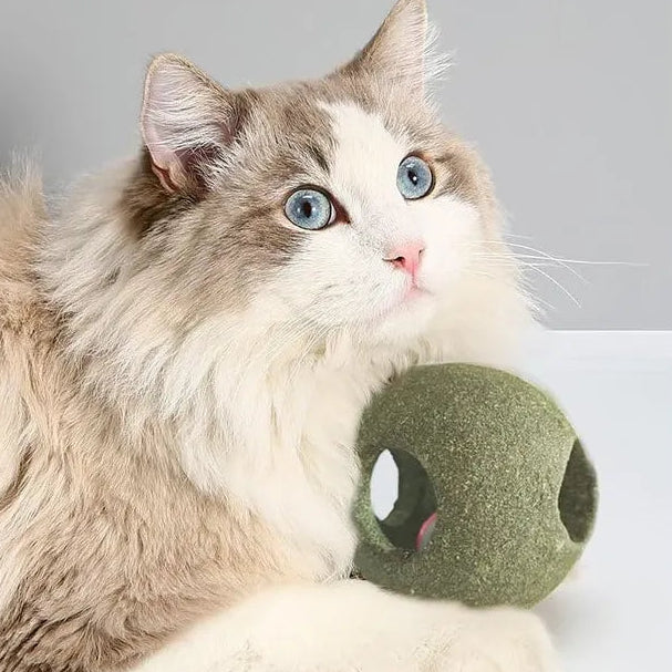 Juguete de Catnip para gatos