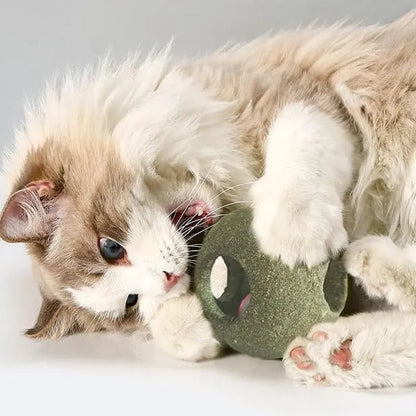 Juguete de Catnip para gatos