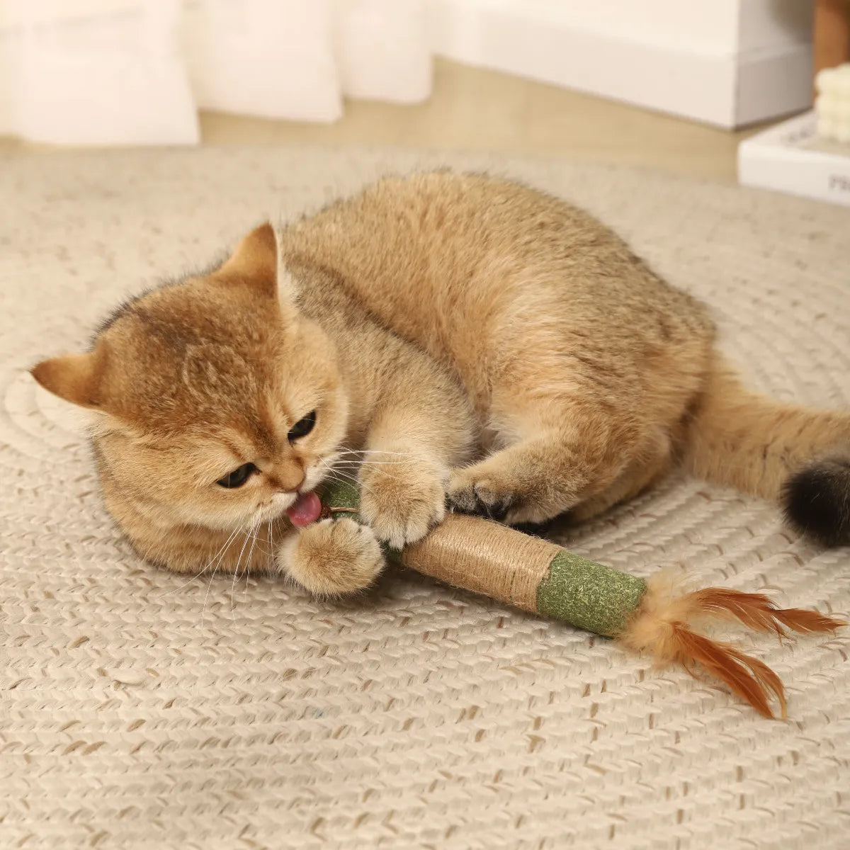 Palito verde de catnip con sisal