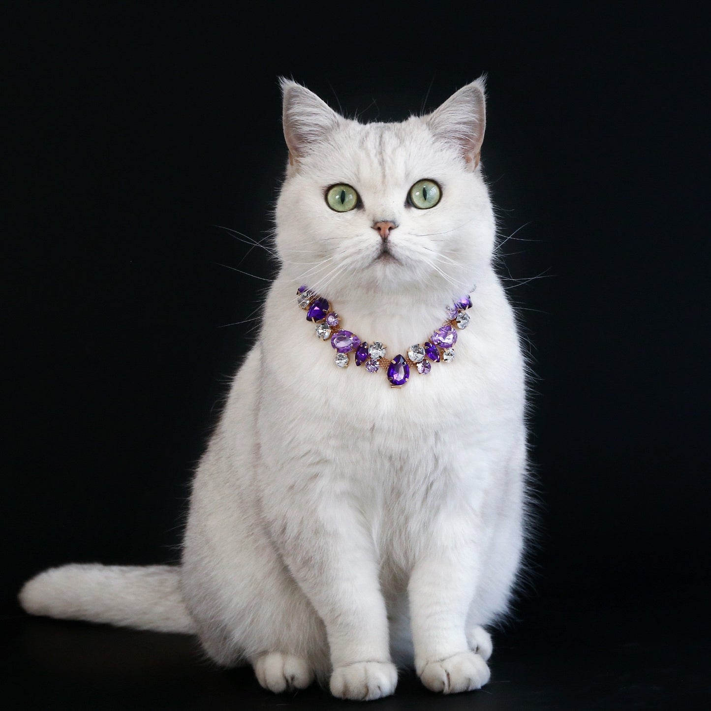 Collar brillante de piedra de colores para mascotas