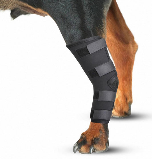 Soporte trasero y delantero para perros