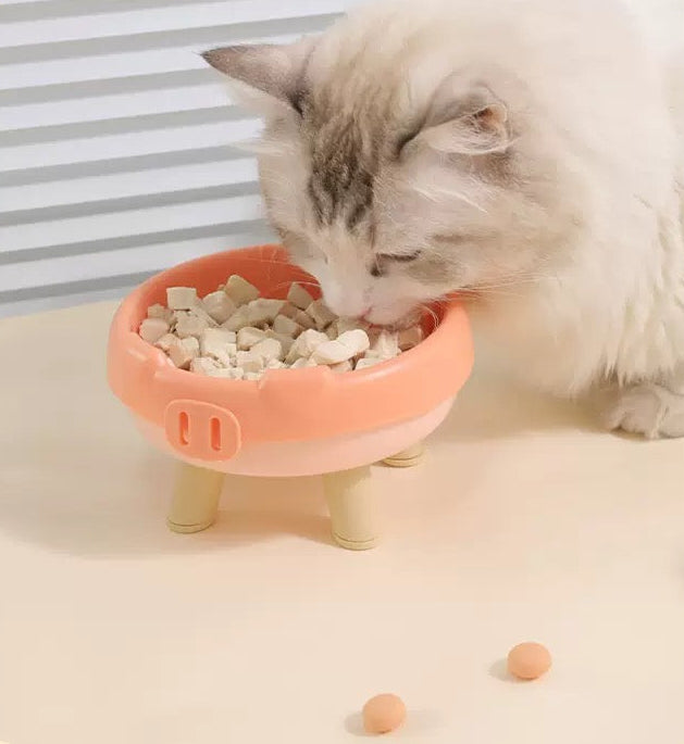 Plato de Plastico estilo cerdito para gatos