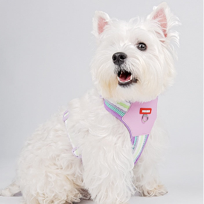 Pechera con correa para perros medianos modelo 427