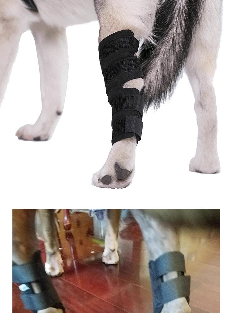 Soporte trasero y delantero para perros
