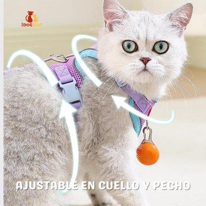 Pechera anti escape reflectiva para gatos