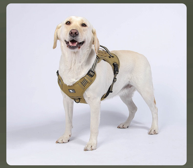 Pechera con correa para perros de raza grande modelo 426
