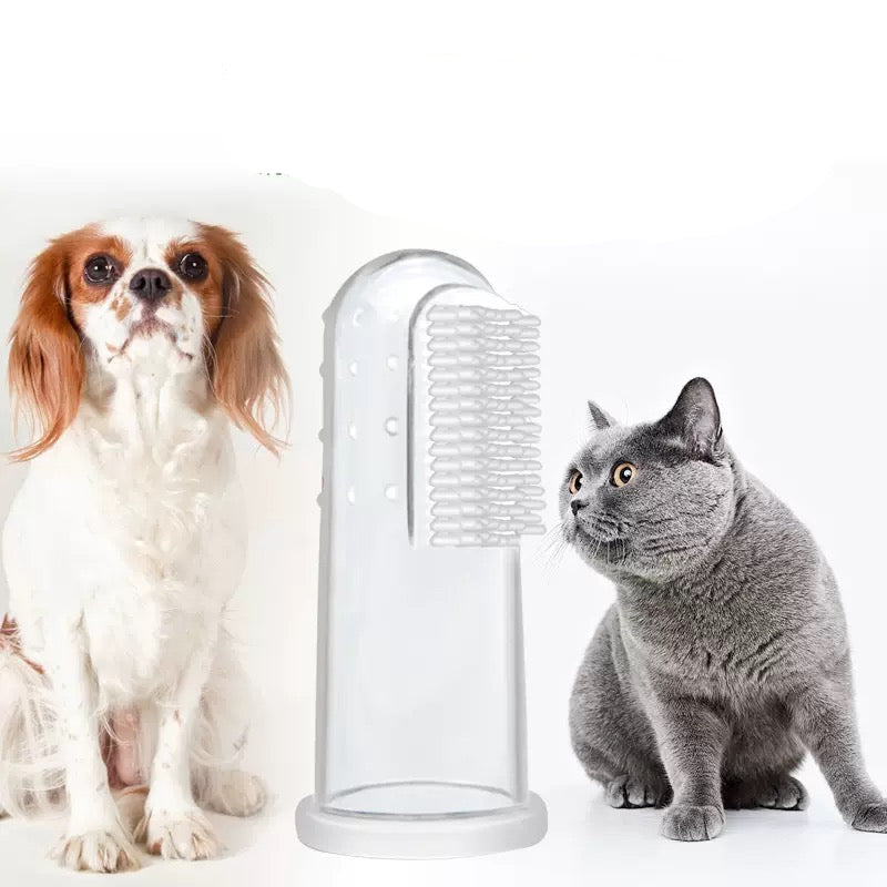 Kit dental para gatos y perros
