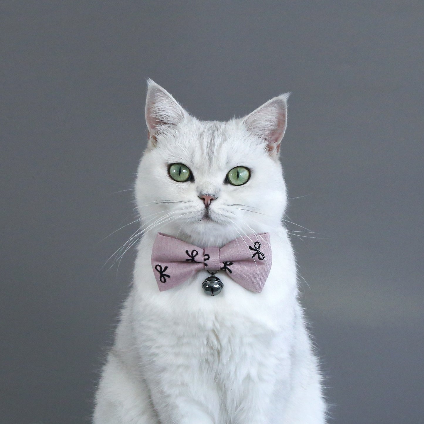 Collar con corbata para mascotas pequeñas