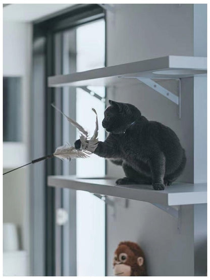 Cañita de gatos 160cm de largo