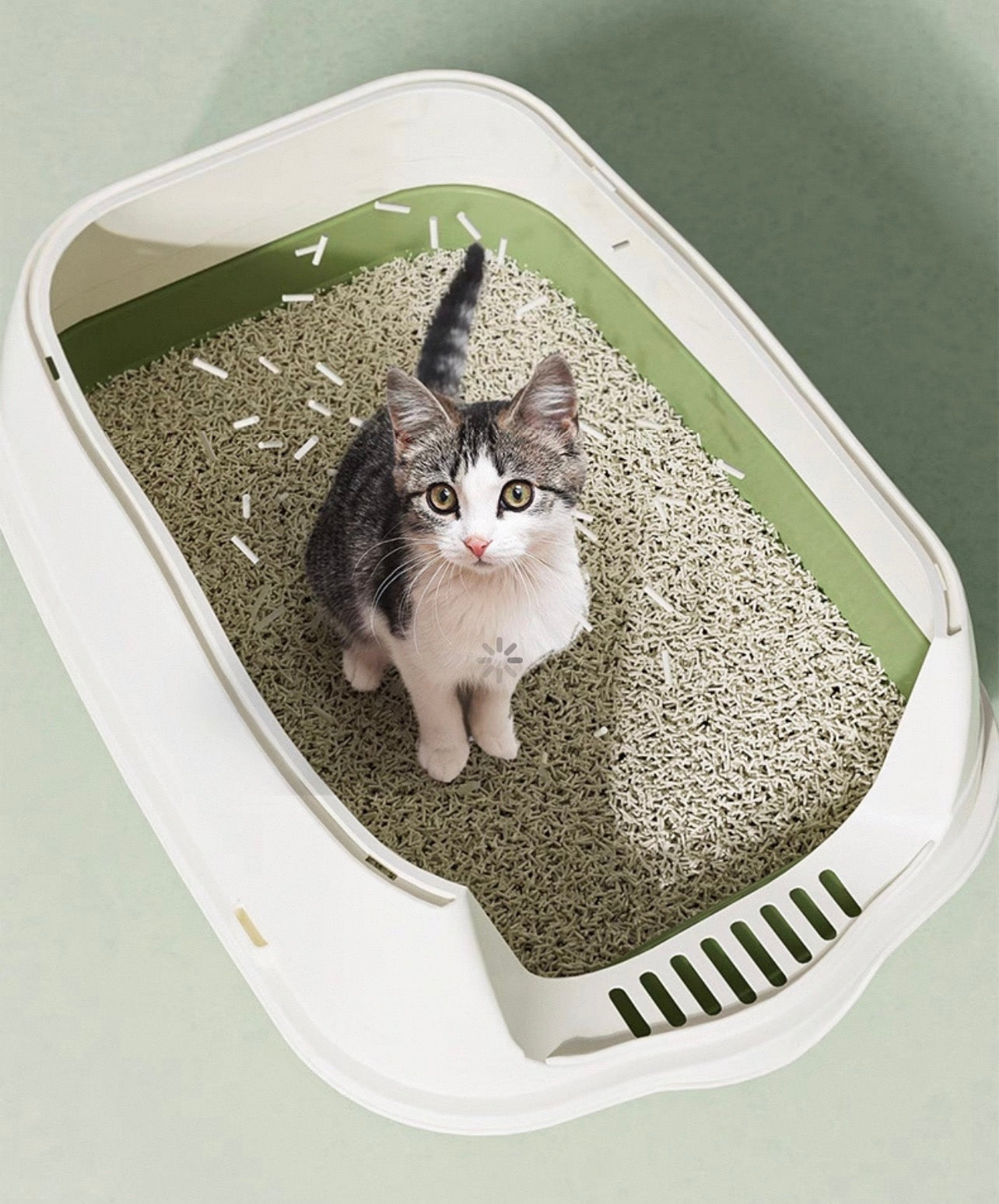 Arenero cerrado 2 en 1 para gatos bebes modelo MB2 (Dos colores disponibles)