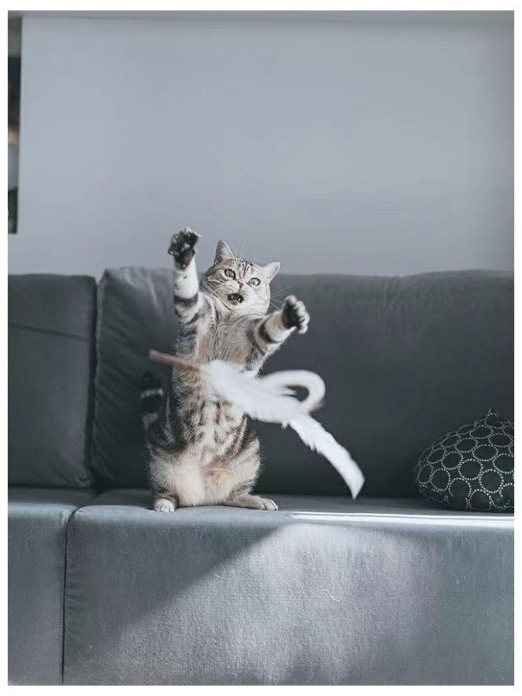 Cañita de gatos 160cm de largo