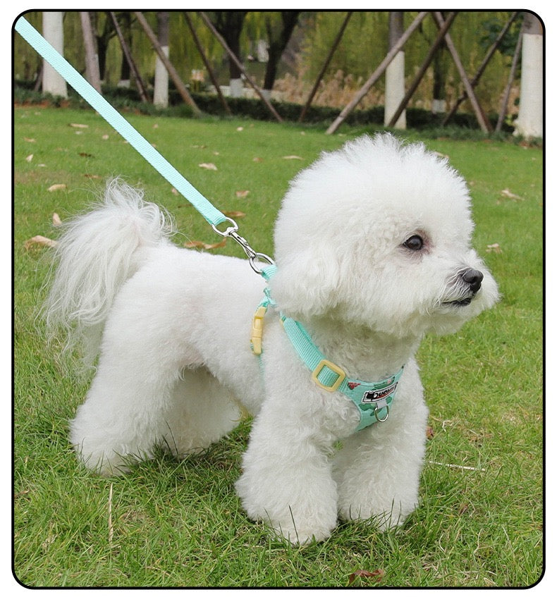 Pechera con correa para mascotas pequeñas modelo 120