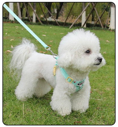 Pechera con correa para mascotas pequeñas modelo 120