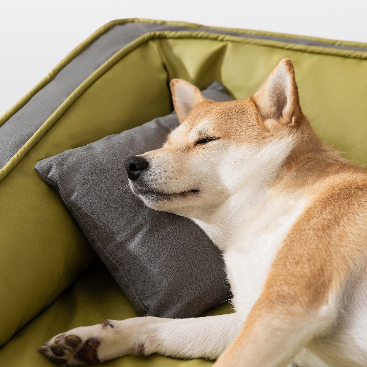 Cama para mascotas impermeable con forro lavable (Modelo 100)