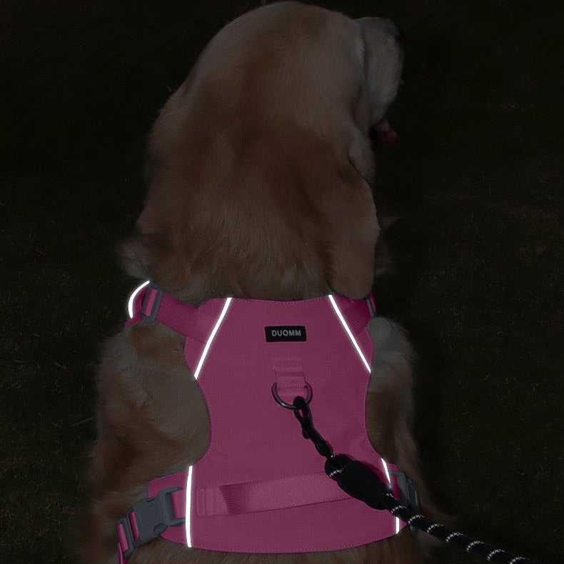 Pechera con correa modelo 429 para perros raza grande