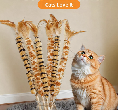 Cañitas de pluma y sisal para gatos