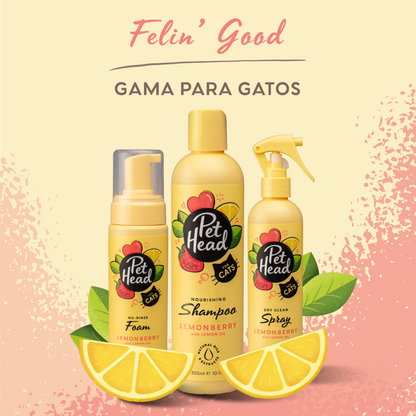 Shampoo en Seco Pet Head: Spray de lavado en seco para gatos Felin' Good 300 ml