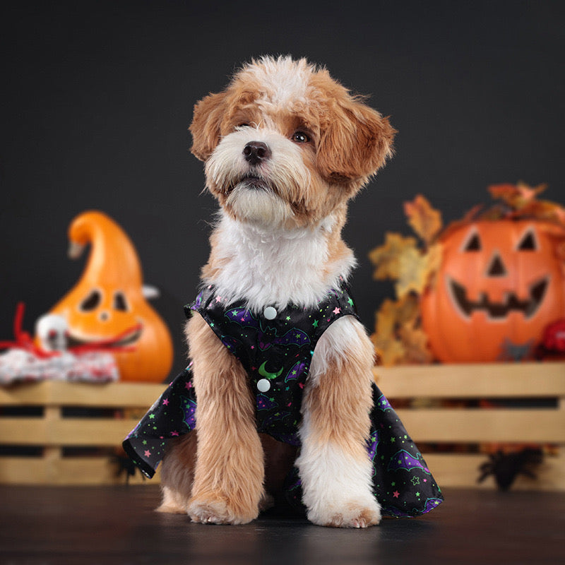 Vestido de halloween para mascotas #5 y #6