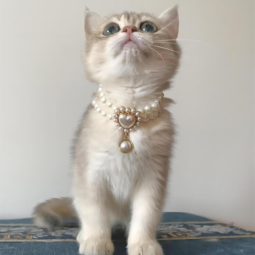 Collar brillante de perlas para mascotas