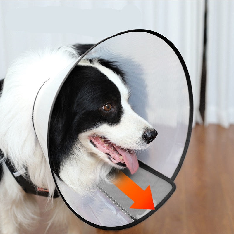 Cono isabelino de plástico para mascotas Modelo #CL30