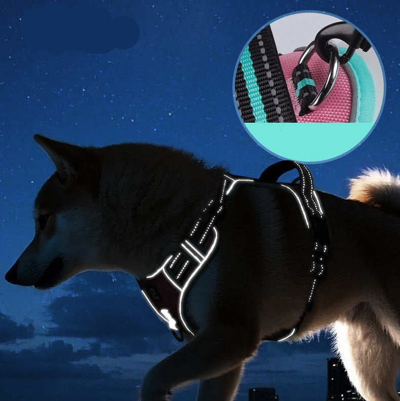Pechera con correa modelo 430 para perros grandes