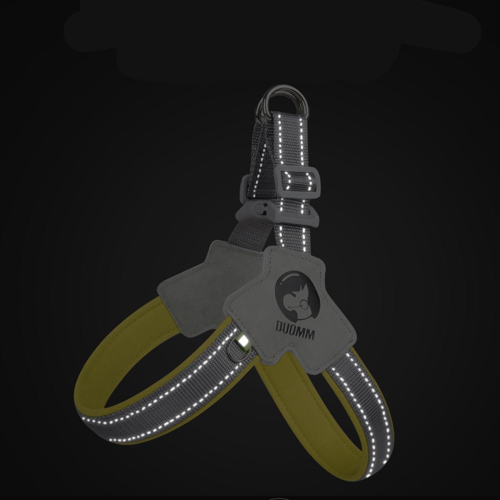 Pechera gris con correa para mascotas  modelo HAR202