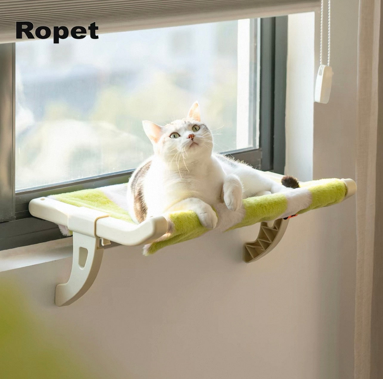 Cama colgante para gatos
