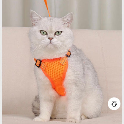 Pechera para gatos y perros raza pequeña
