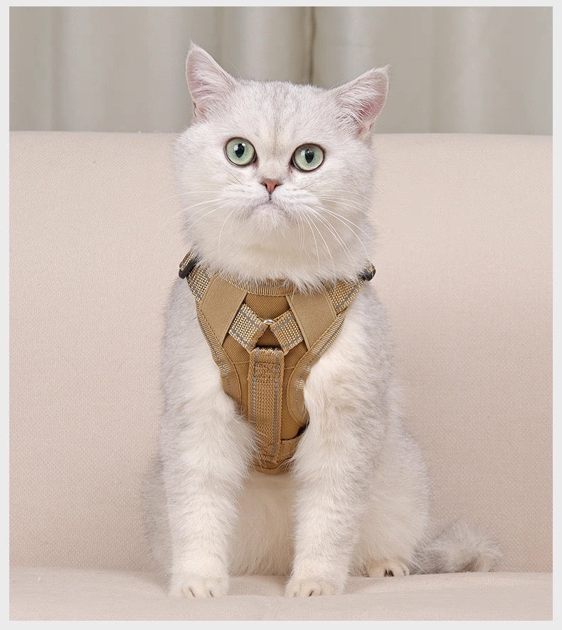 Pechera tactica para gatos HAR08