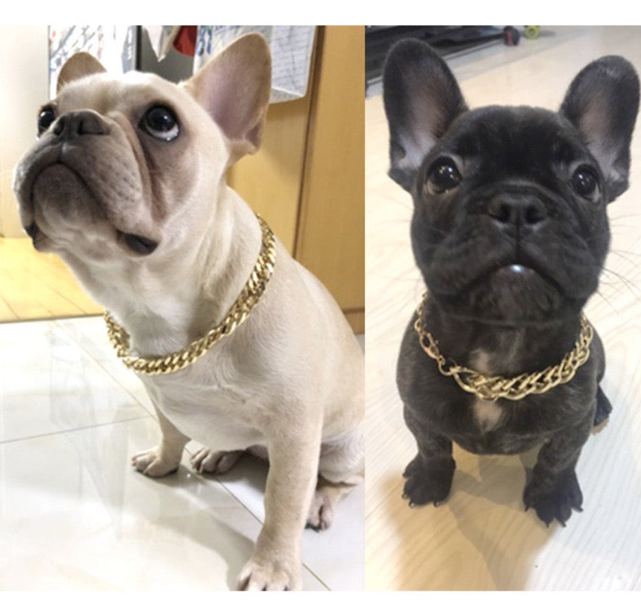 Collar blingbling para mascotas