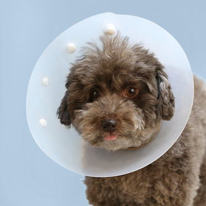 Cono isabelino de plástico para mascotas modelo #CL17