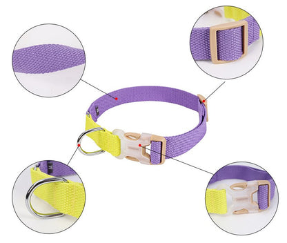 Collar Antiescape para perros