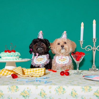 2 piezas de cumpleaños decorativas para mascotas