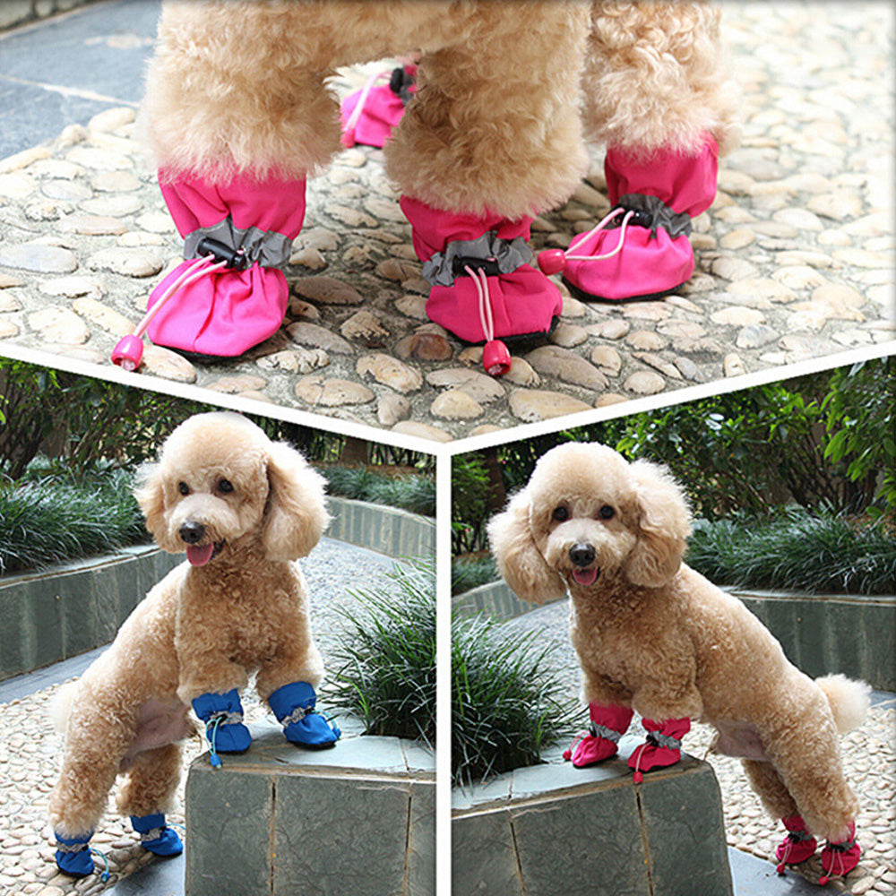 Zapatos de Tela para mascotas