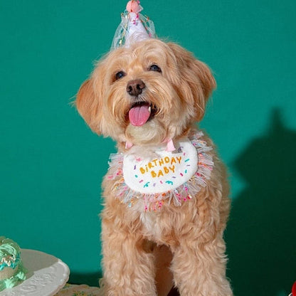 2 piezas de cumpleaños decorativas para mascotas