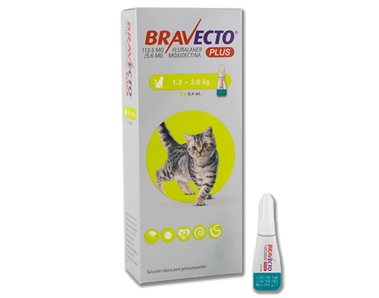 Antiparasitario interno y externo para gatos BRAVECTO 1.2-2.8kg