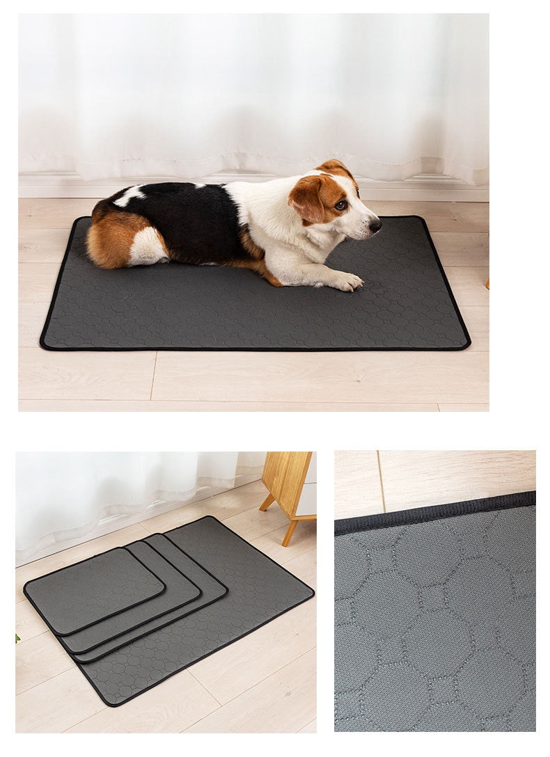 Pads reutilizables absorbentes para mascotas (tres tamaños)