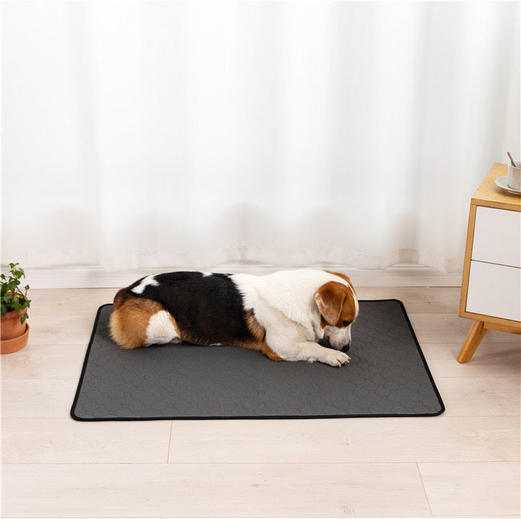 Pads reutilizables absorbentes para mascotas (tres tamaños)