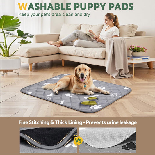 Pads reutilizables absorbentes para mascotas con diseño (dos tamaños)