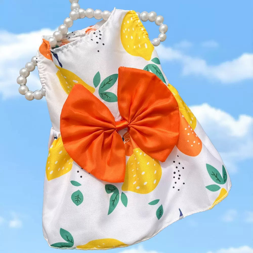 Vestido sencillo para mascotas con lazo