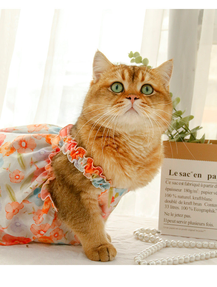 Vestido con gancho para mascotas pequeñas