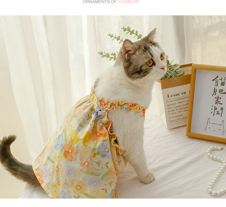 Vestido con gancho para mascotas pequeñas