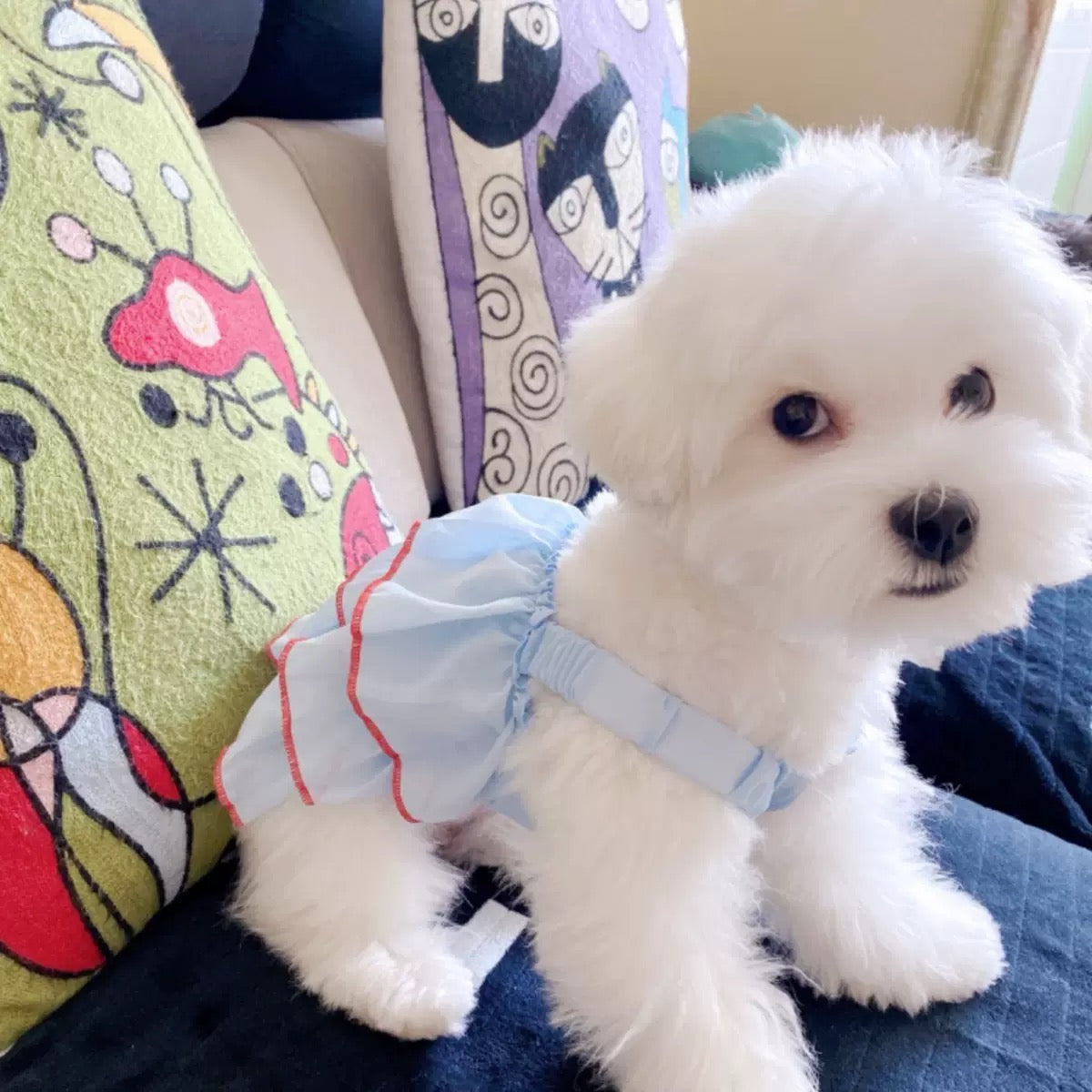 Vestido para mascotas pequeñas