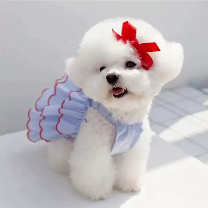 Vestido para mascotas pequeñas