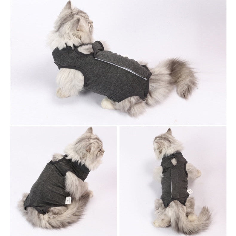Traje postoperatorio para gatos modelo #T10
