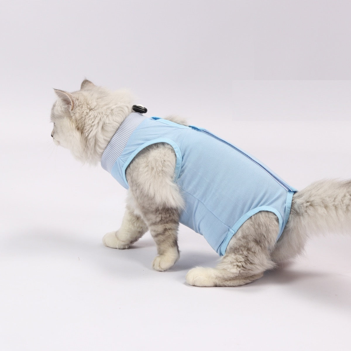 Traje postoperatorio para gatos modelo #T10