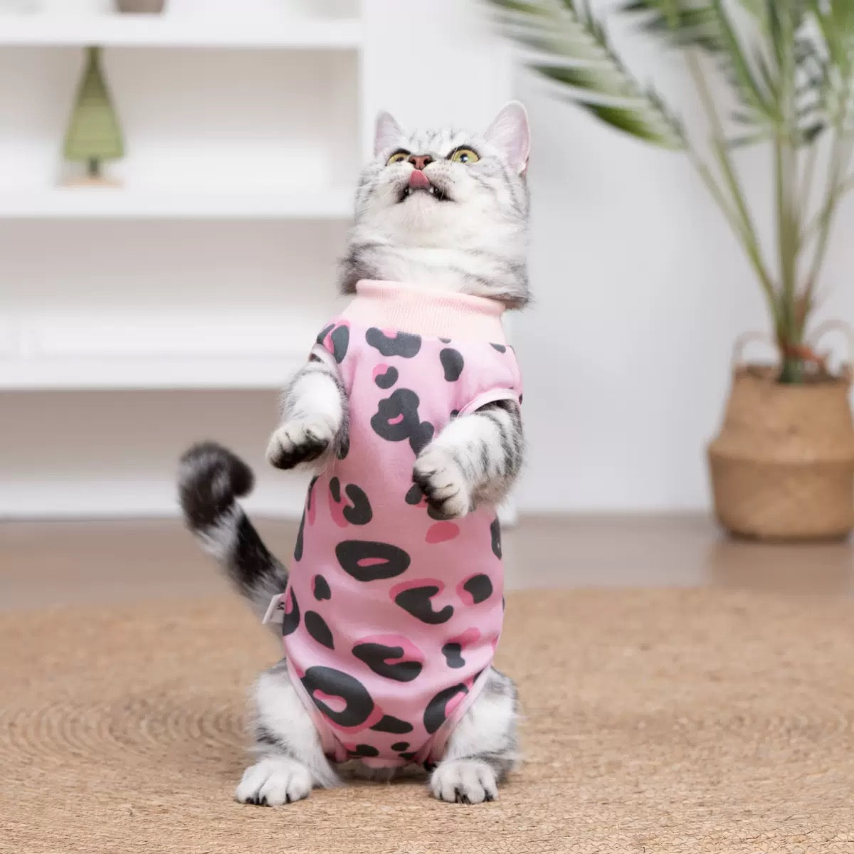 Traje postoperatorio para gatos #T39 estampado leopardo