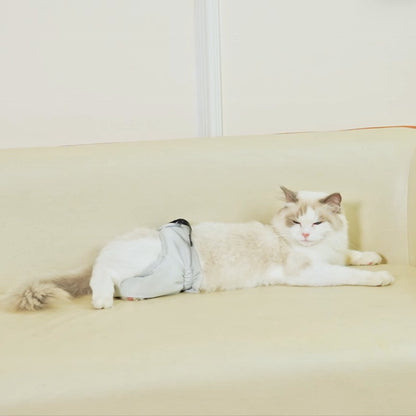 Pañal postoperatorio para mascotas