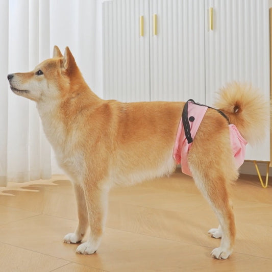Pañal postoperatorio para mascotas
