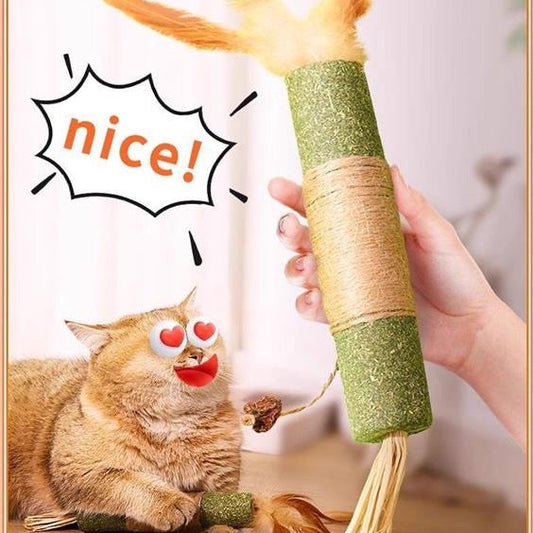 Palito verde de catnip con sisal